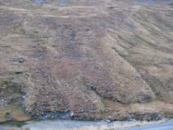 Sigejordstunger. Ryphusan, Vinstradalen i Oppdal, Trøndelag.
