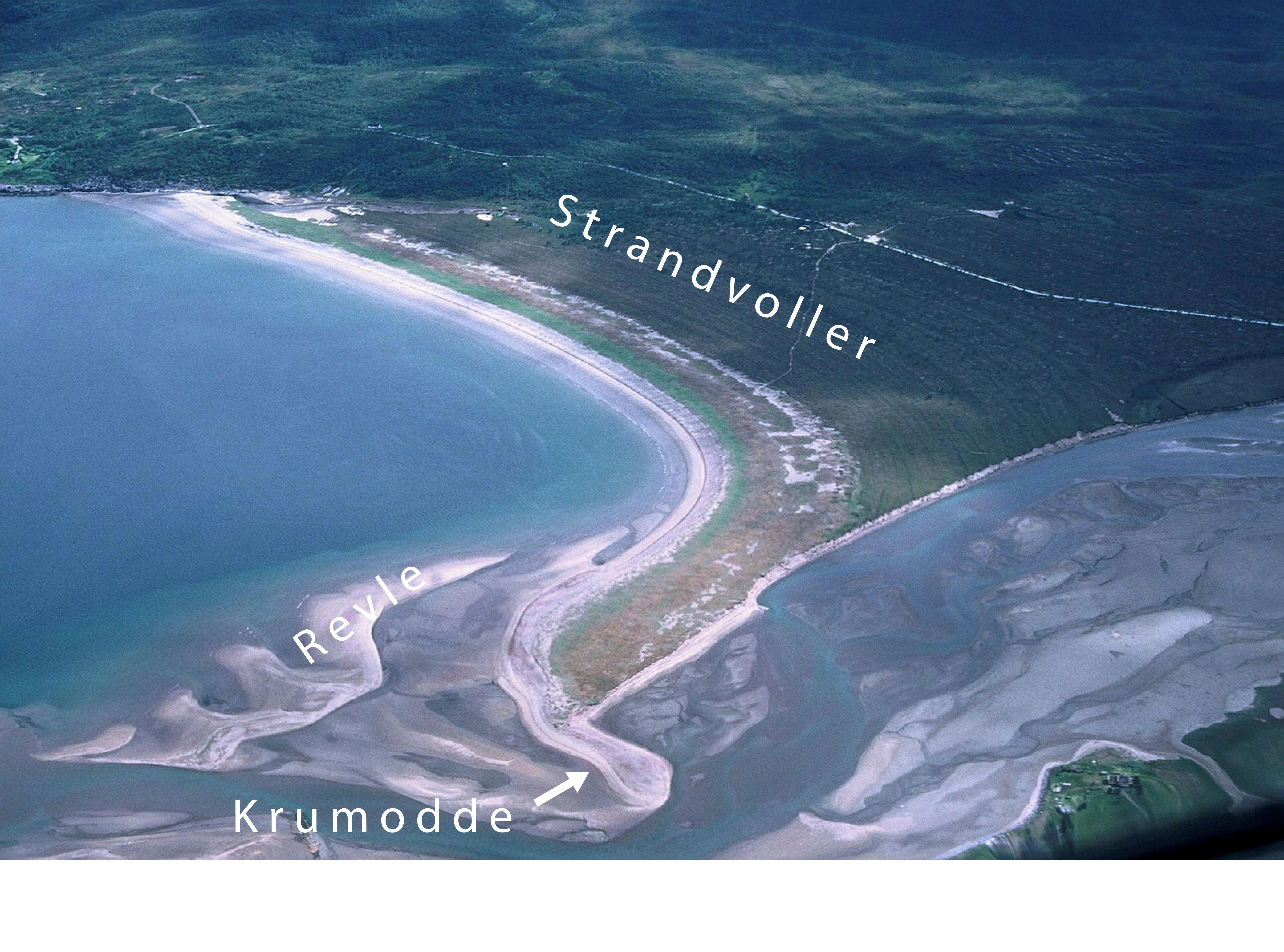 NIN-3.0-T-A-LV-FL-0-L-I07 Revle. NIN-3.0-T-A-LV-FL-0-L-I03 Krumodde.