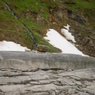 Bildet viser sokkelstein med sokkel av delvis oppløst kalkspatmarmor. Glomdalen, Rana.
