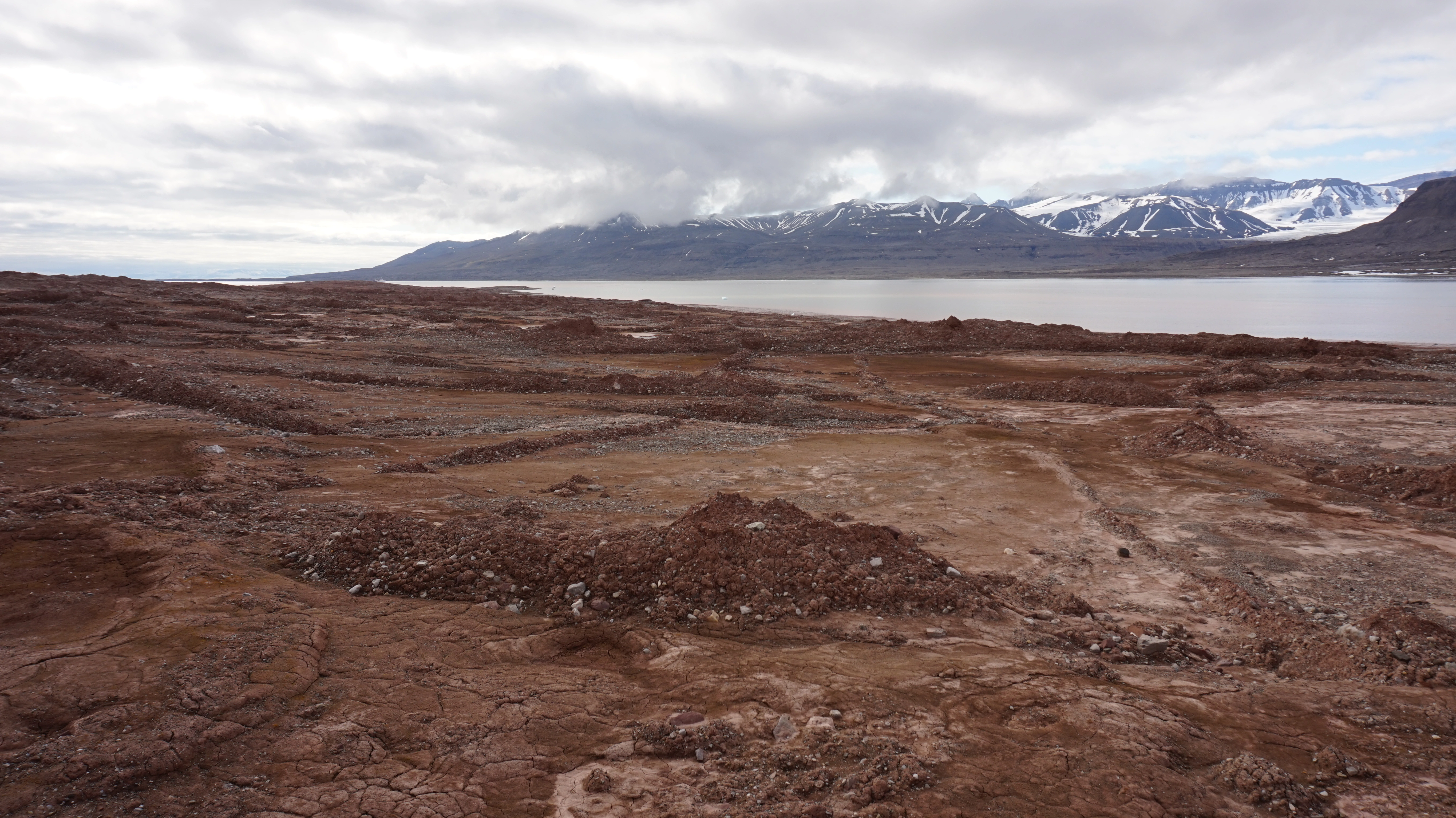 NIN-3.0-T-A-LV-FL-0-L-H26 Sprekkefyllrygg.