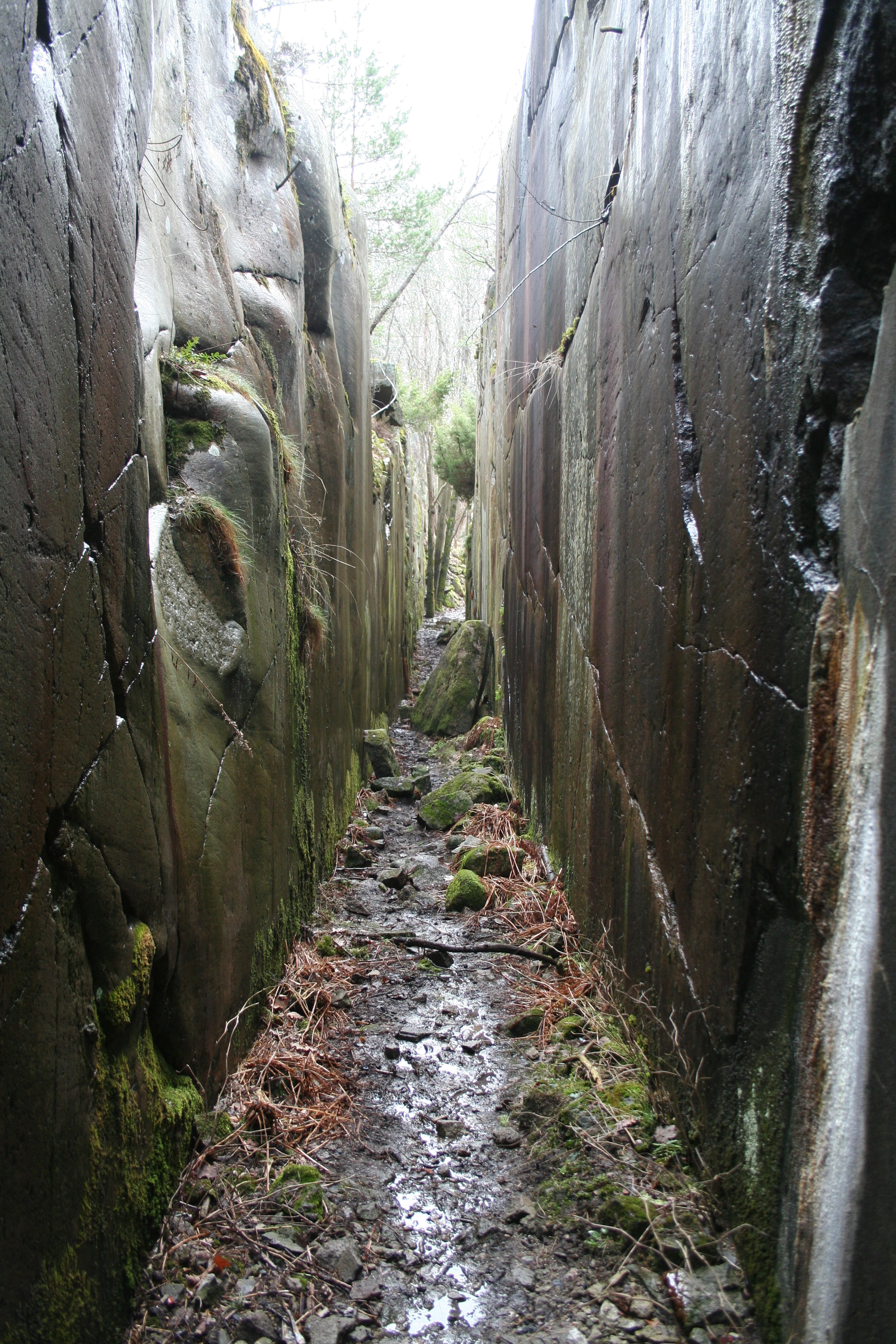 NIN-3.0-T-A-LV-FL-0-L-E04 Sprekkekløft og sprekkedal.