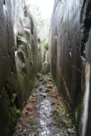 Skams klove er en smal og dyp sprekk på Kjøkøy i Hvaler. Sprekken er dannet ved at en svakere gangbergart som har trengt inn i den omkringliggende harde granitten er blitt erodert bort. Kjøkøy, Hvaler, Østfold.
