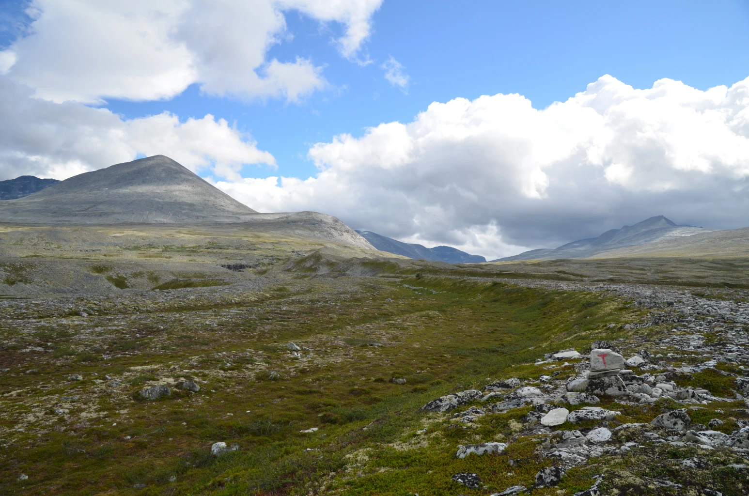 Bilde av naturtypen