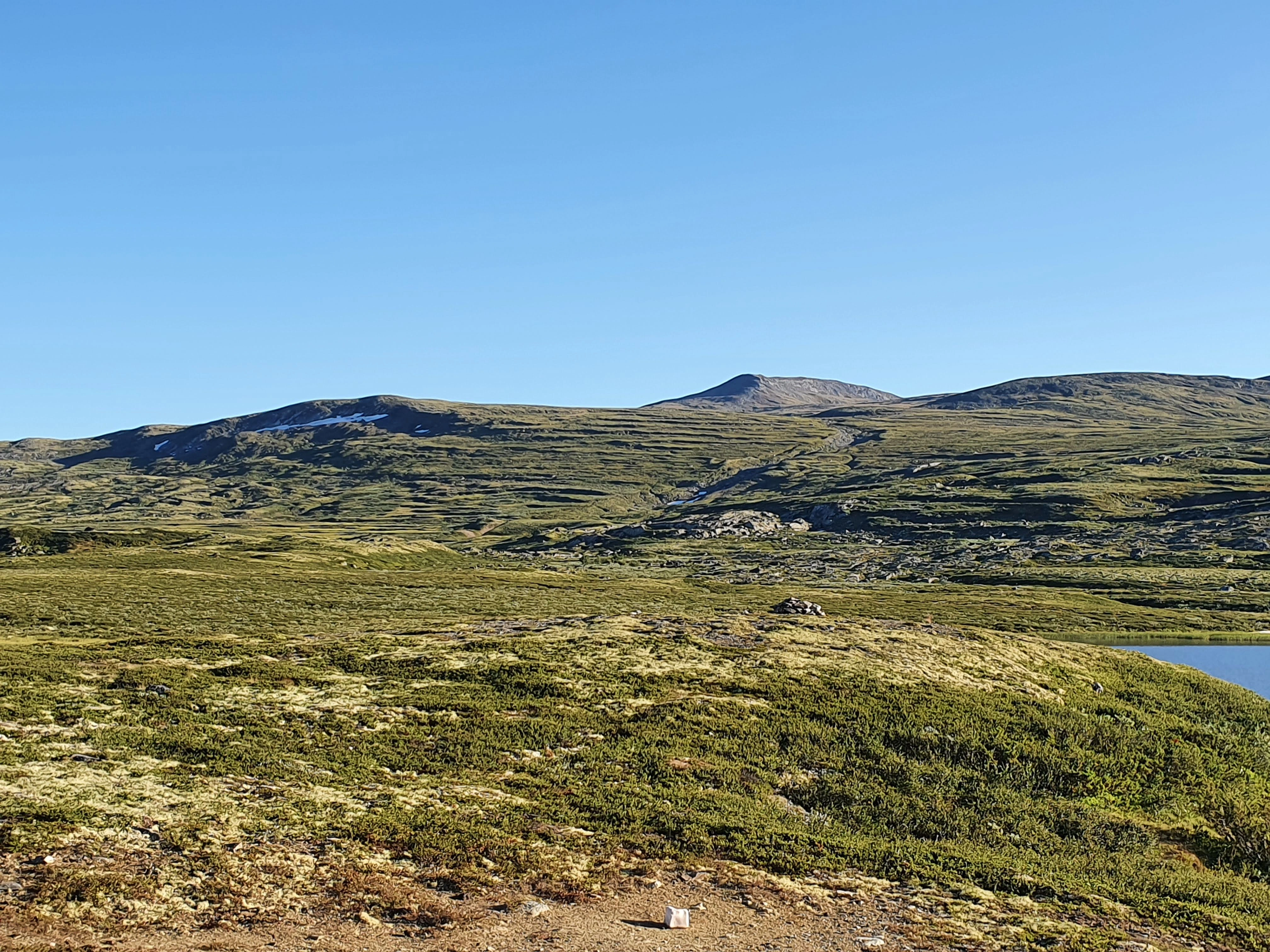 NIN-3.0-T-A-LV-FL-0-L-A09 Spylerenne.