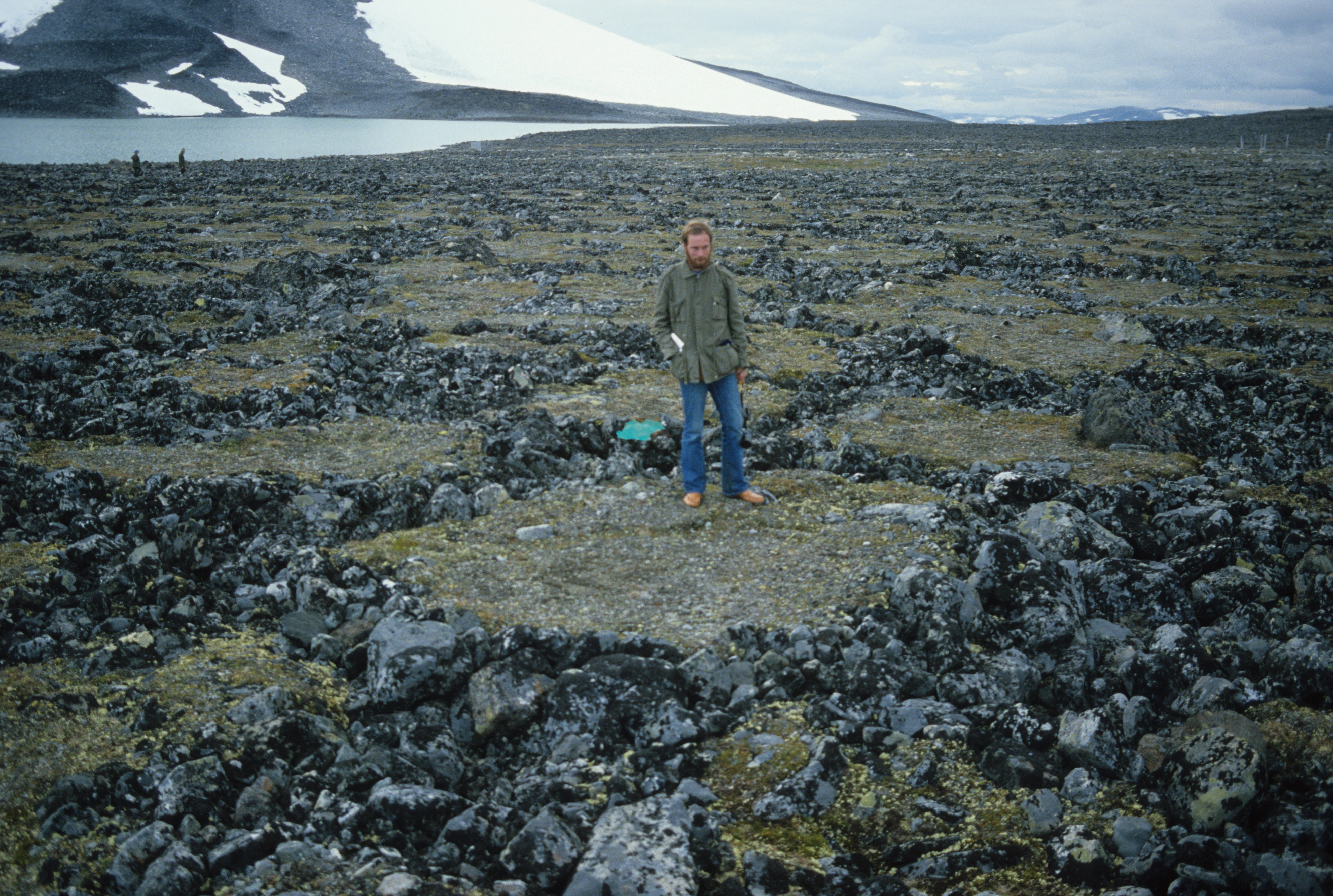 NIN-3.0-T-A-LV-FL-0-L-F04 Strukturmark.