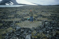 Strukturmark. Tissedalsflyane, Aurland kommune, Sogn og Fjordane.
