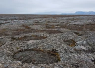 Sirkelformet strukturmark ved havnivå. Kapp Linne, Svalbard.

