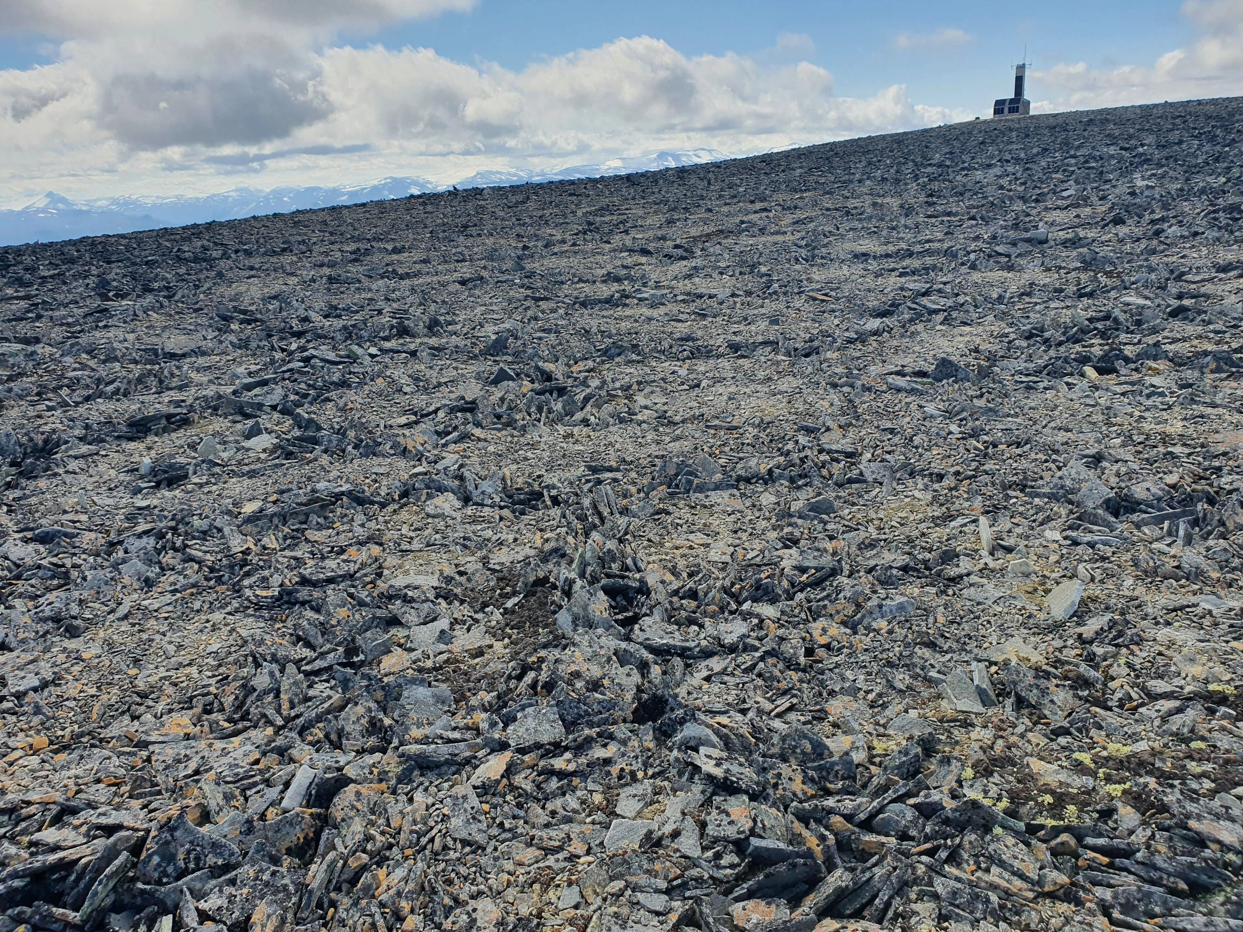 NIN-3.0-T-A-LV-FL-0-L-F04 Strukturmark.