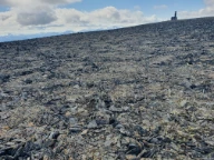 Strukturmark. Skarvedalseggen ca. 1950 moh., Reinheimen nasjonalpark, Lesja.
