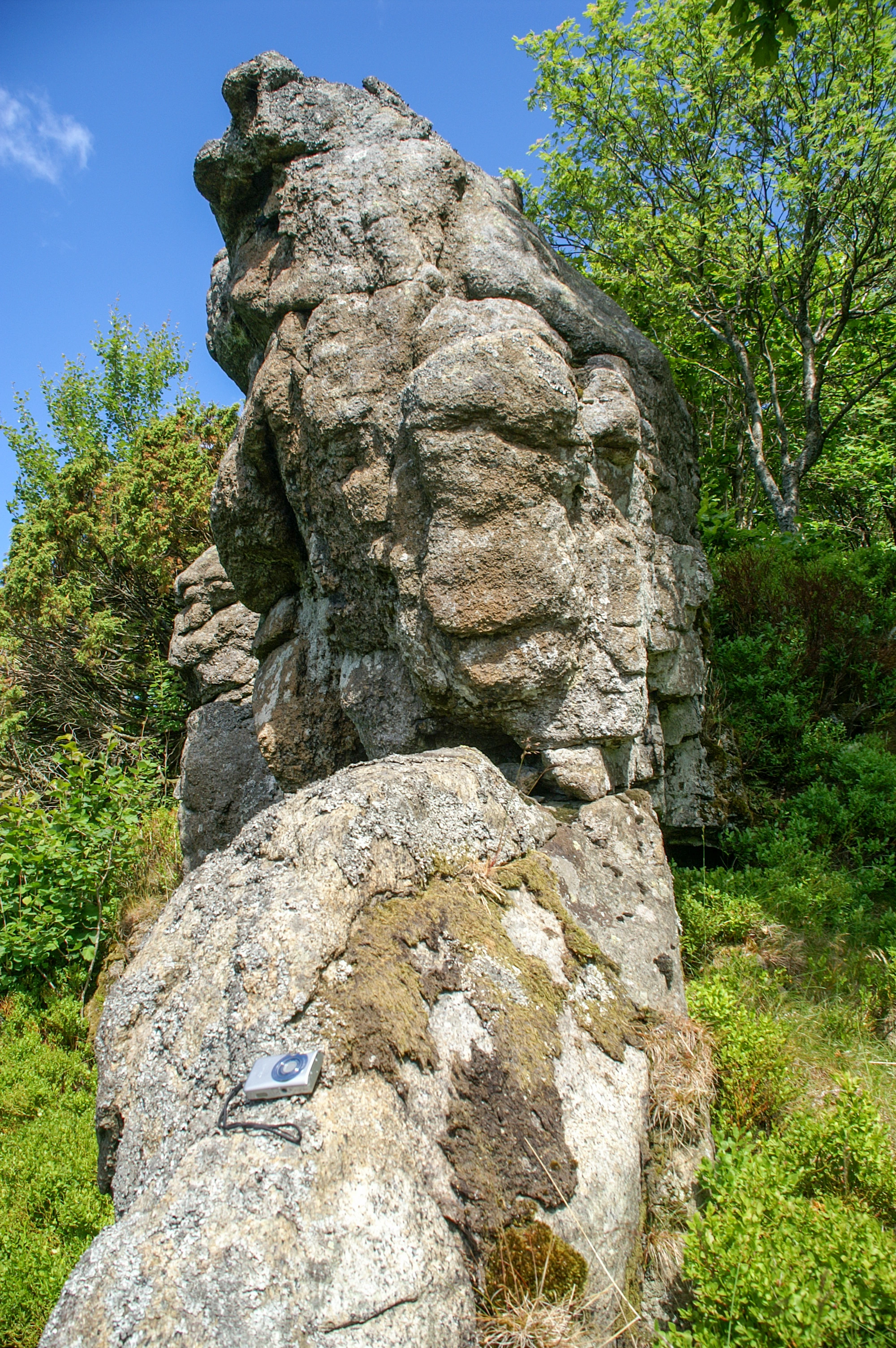 NIN-3.0-T-A-LV-FL-0-L-G08 Tor.