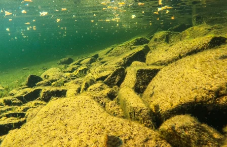 Bilde av Svært kalkfattig beskyttet grunn fast innsjøbunn