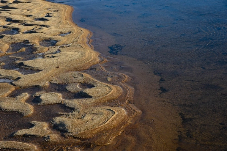 Bilde av Svært kalkfattig innsjø-sedimentbunn av silt til sand i strandkant