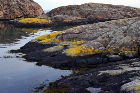 Bilde av Kalkfattig til litt kalkrikt beskyttet til litt eksponert strandberg