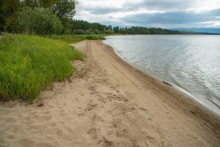 Bilde av Moderat kalkrik innsjø-sedimentbunn av silt til sand i strandkant og plantebeltet