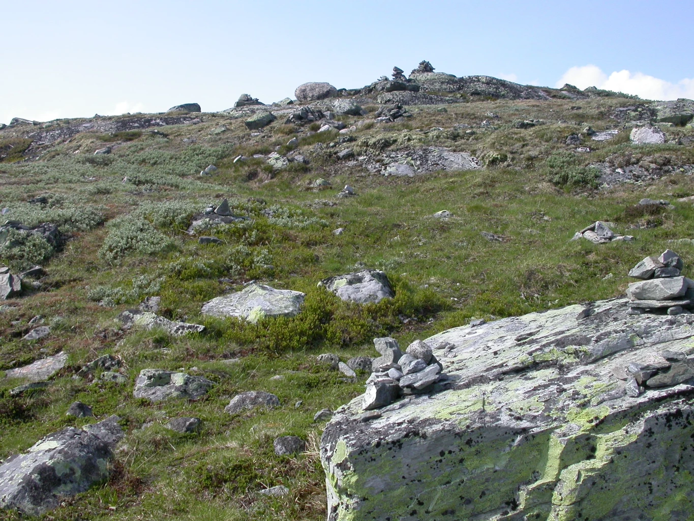 Bilde av naturtypen