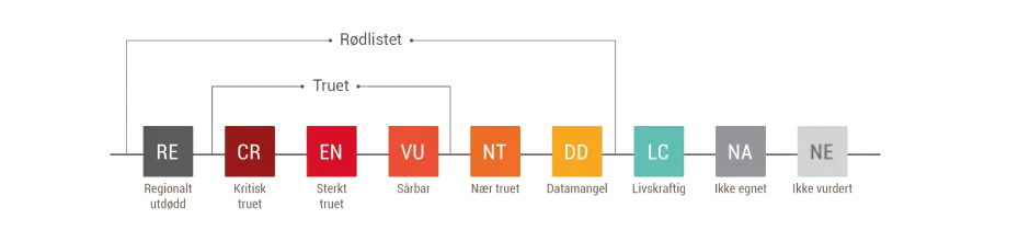 illustrasjon som viser rødlistekategoriene