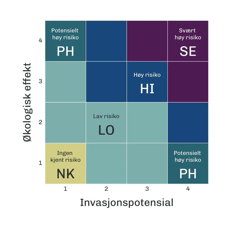Illustrasjon av matrise med forklarende tekst