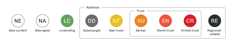 Figur som viser rødlistekategoriene