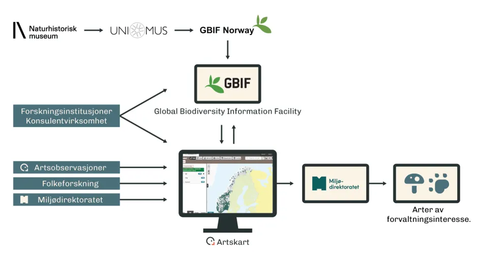Illustrasjon av dataflyten med tekst i bokser