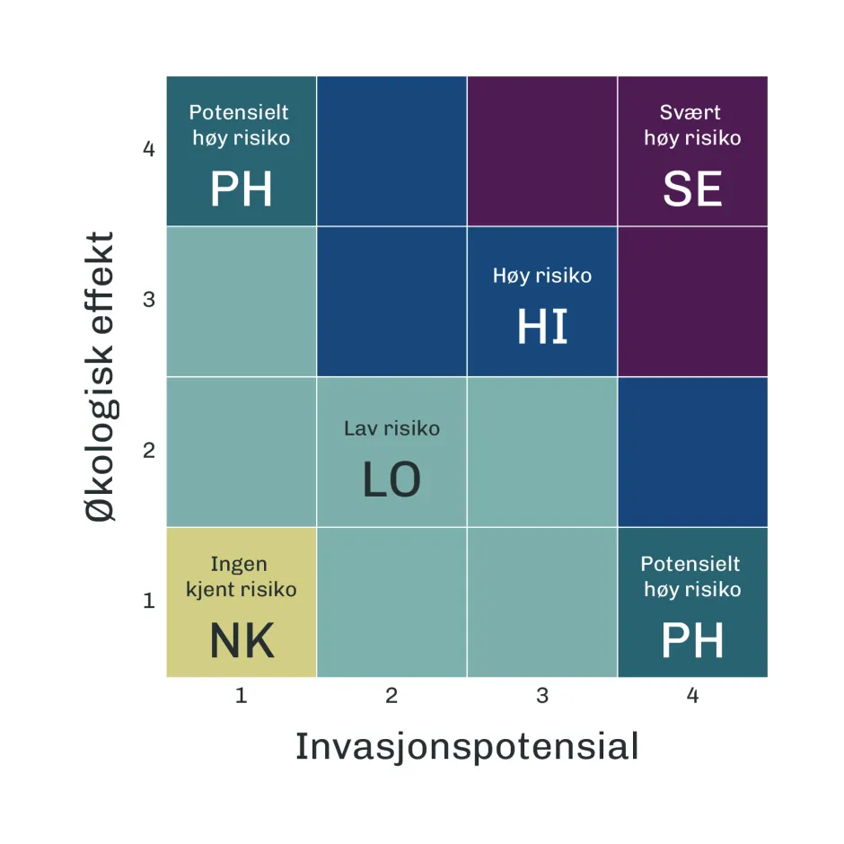 Illustrasjon av matrise med forklarende tekst