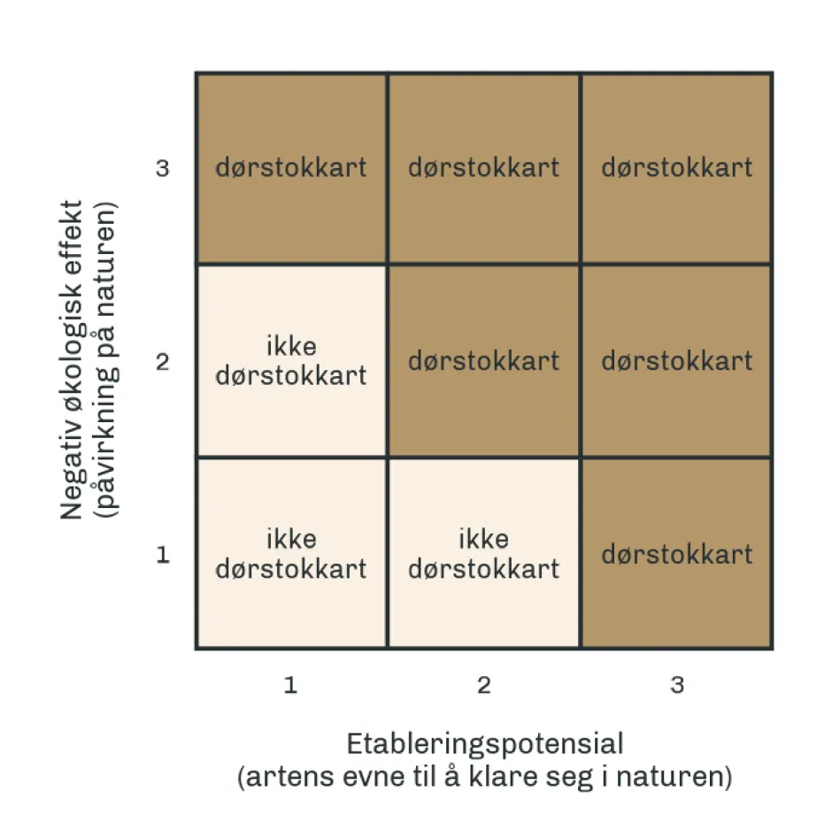 Grafisk fremstilling over dørstokkarters innovasjonspotensial og negativ økologisk effekt på naturen