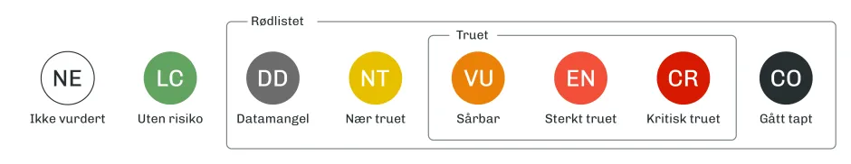 Skala av risikokategorier inndelt i sirkler