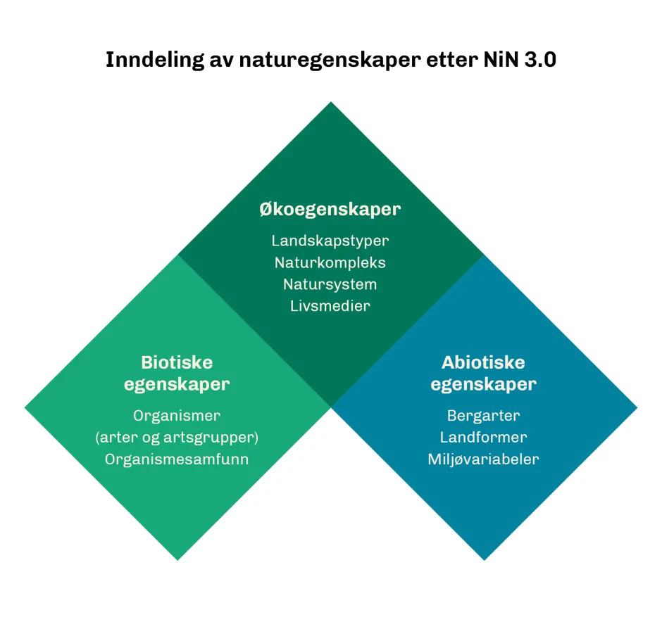 Illustrasjon som viser inndeling av naturegenskaper.