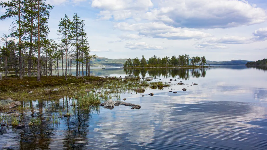 Femunden sett fra land