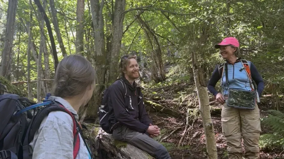 Tre personer i en skog som kartlegger