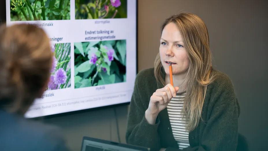 To personer i møterom med storskjerm i bakgrunnen.