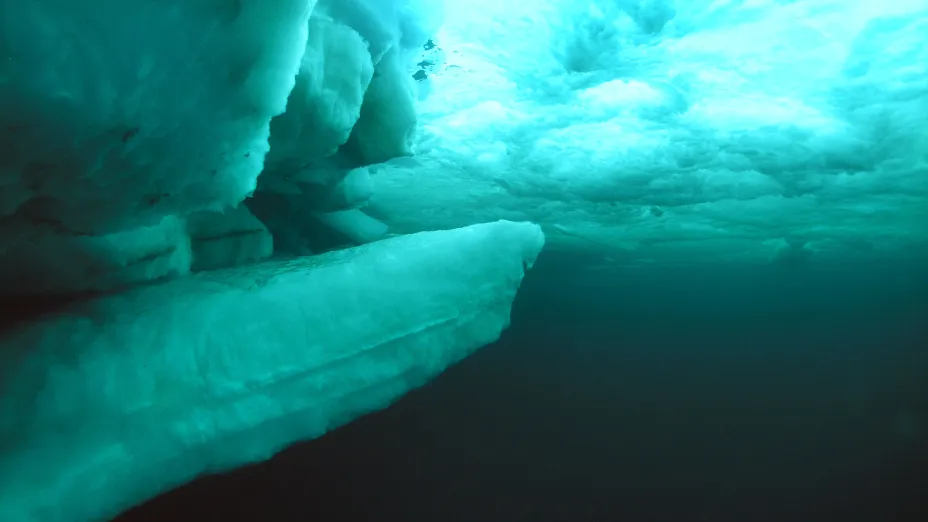 Bilde av naturtypen havis underside.