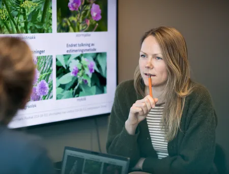 Ansatte i et møte om Fremmedartslisten