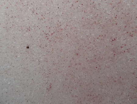 Bildet mangler beskrivelse