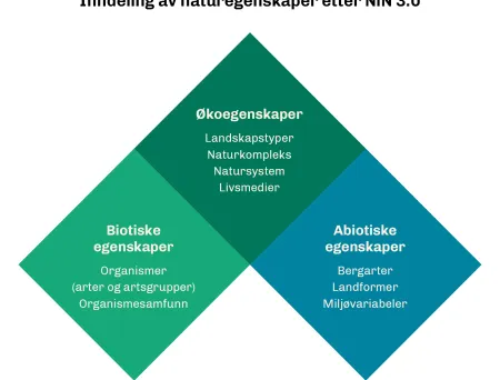 Illustrasjon som viser inndeling av naturegenskaper.
