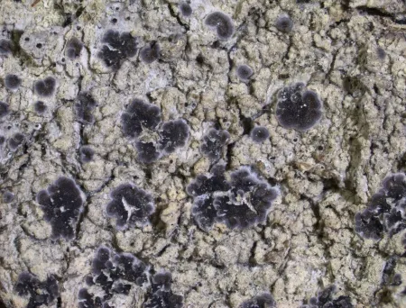 Bildet mangler beskrivelse