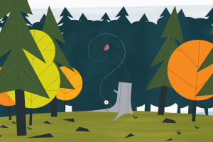 Animert illustrasjon av skog og en marihøne som tegner et spørsmålstegn.