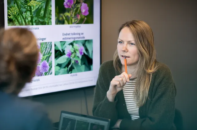 To personer sitter i et møterom under et faglig møte