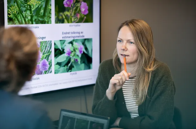 Ansatte i et møte om Fremmedartslisten