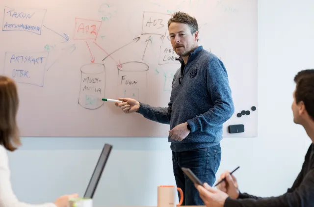 Person står ved en tavle og presenterer for kolleger i et møte