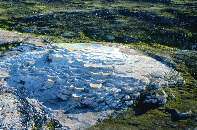 Bildet viser landformen sinterterrasse på Svalbard. Sinterterrasse er vurdert til kategorien  kritisk truet CR