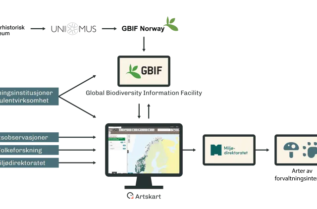 Illustrasjon av dataflyt.