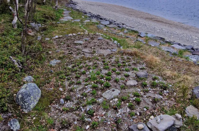 Blomster i vannkant på en innsjø.