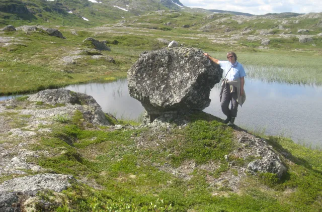 Fjellterreng med et tjern