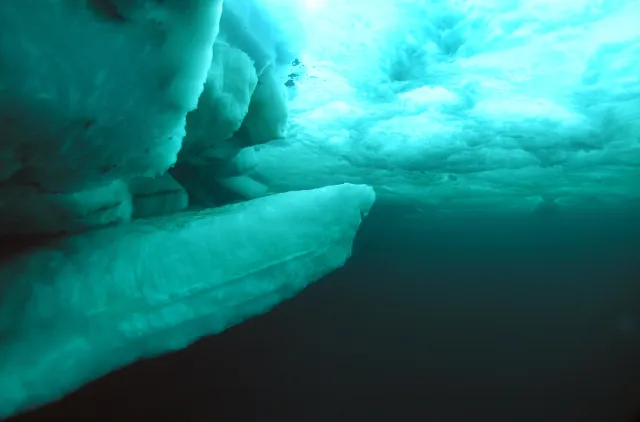 Bilde av undersiden av Polar havis.