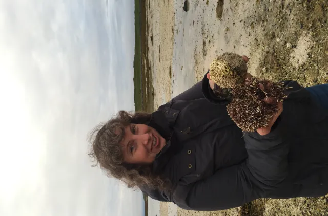 Kvinne står på stranda og holder kalkalger