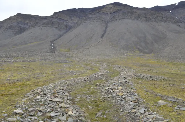 Bildet viser en vifte der deler er preget av flomskred (flomskredvifte) og deler av snøskred (snøskredvifte). Gjennom flomskredviften renner et flomskredløp. Svea, Svalbard.