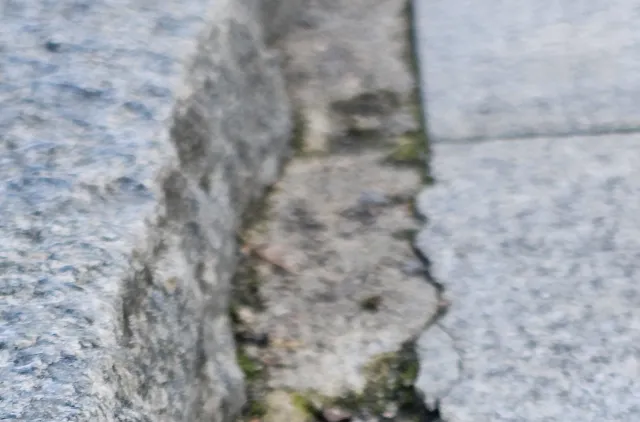 Lilla blomster ve fortauskant